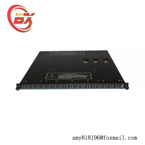 Invensys Triconex 3624 Digital Input/Output Module - Industrial Control Solutions