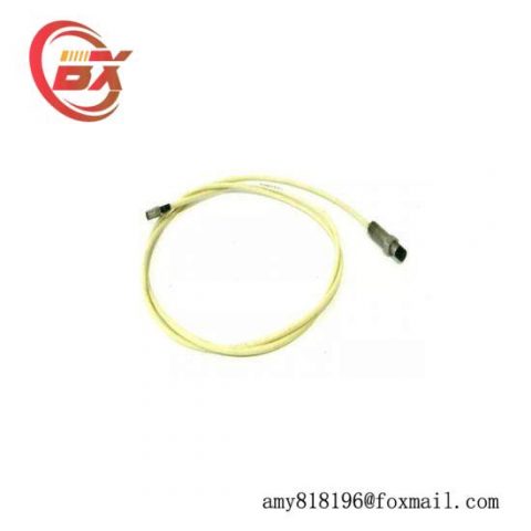 BENTLY 10244-27-50-01 Vibration Monitoring Module
