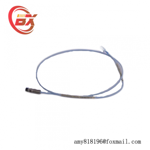 Bently Nevada 300103-A00-B09-C10-D02-E0: Industrial Control System Module