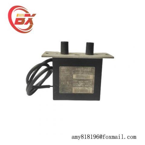 BERU W-ZG 02/V Ignition Transformer - Advanced Engine Control Module
