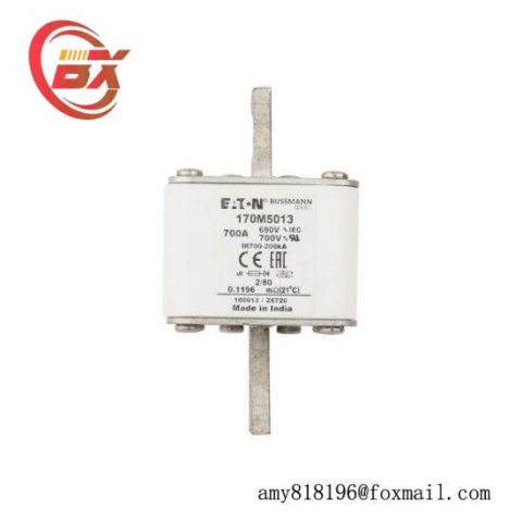 Eaton 170M5013 High Speed Square Body Fuse, Electrical Protection Solutions