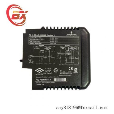 Emerson VE4003S2B2 - DeltaV Analog Input Module