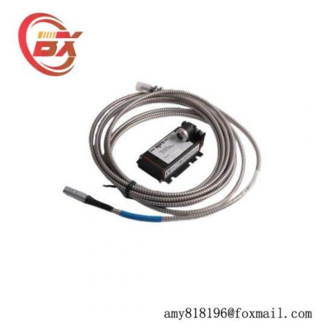 EPRO PR6423/010-010-CN PLC Controller with Custom Processing