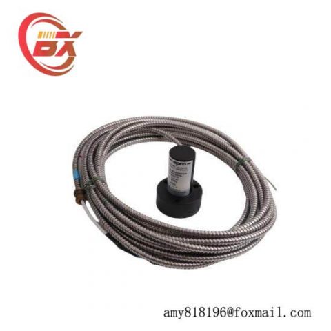 EPRO PR9268/202-100, High Performance Control Module
