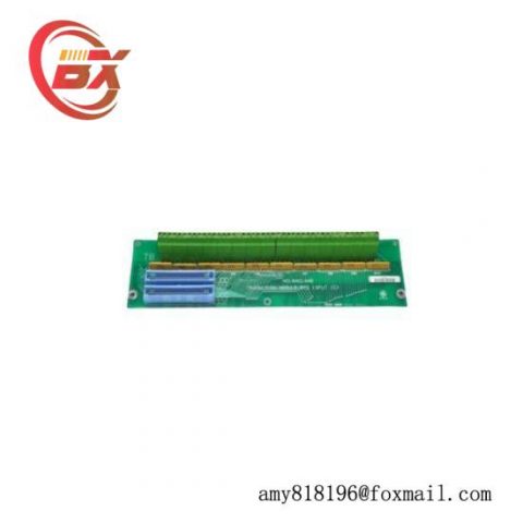 General Electric DS200TBCBG1AAA: Advanced RTD Input Terminal Board
