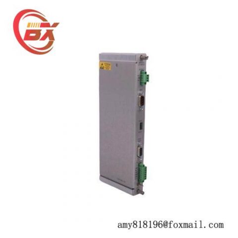 Bently Nevada 125768-01: Rack Interface Module for Industrial Control Systems