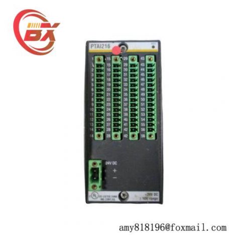 Bachmann PAAI216 Analog Input/Output Modules