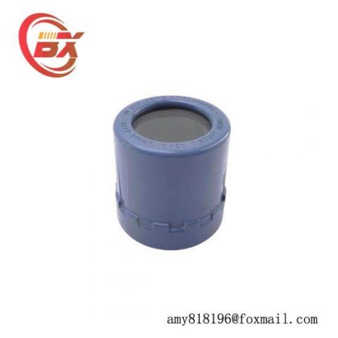 Rosemount 01151-0389-0001 REV. A | Explosion Proof Cover