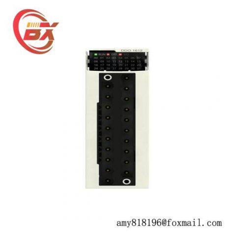 Schneider Electric BMXDDO1612 - Discrete Output Module for Industrial Control, Model Specifics in Automation