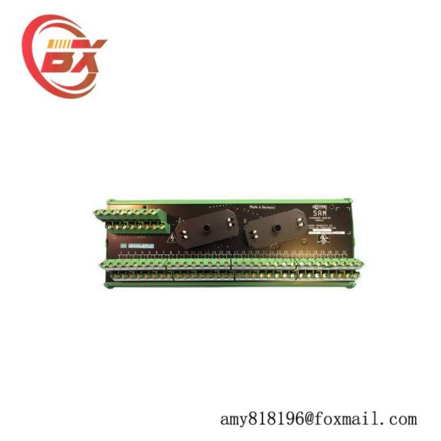 SIEMENS 16169-1-07 Analog Input Module
