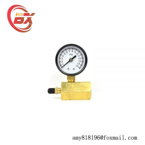 Thrifco Plumbing 8705TPE010S1W0N5 - Gas Pressure Test Gauge, Precision Measurement for Industrial Applications