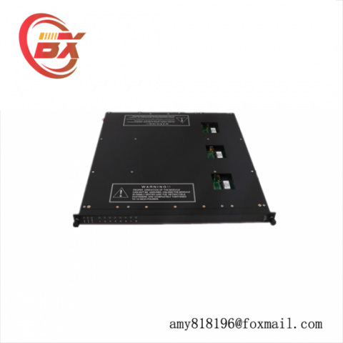 TRICONEX 9561-810 High-Availability I/O Module