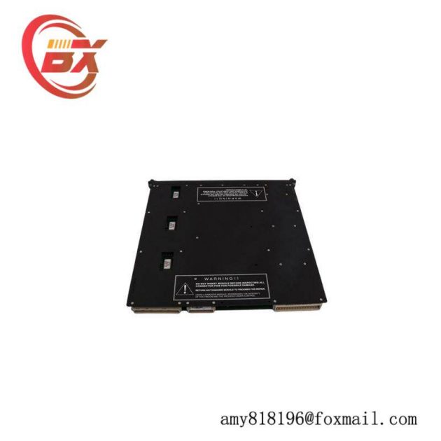 TRICONEX 9563-810 Termination Panel - Advanced Control System Integration