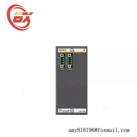 Bachmann AI204/2 Analog Input Module: Precision Measurement Solution