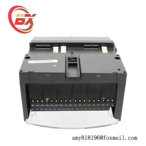 GE FANUC IC200CHS002 - High-Performance Control System Module