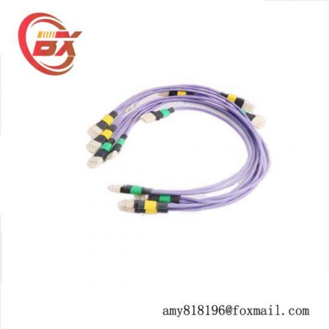 Honeywell 51202329-212 I/O Link Cable Pair: Industrial Control System Accessory