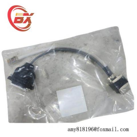 Invensys Foxboro P0971ZW - I/A Series Control Module