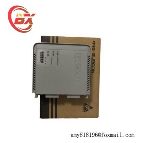 SUPCON + XP-248 + DCS module