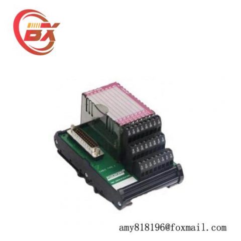 Foxboro P0916AA: Advanced I/A Series Control Module