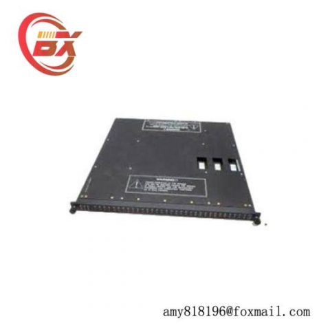 TRICONEX A06B-0061-B306 Input Module