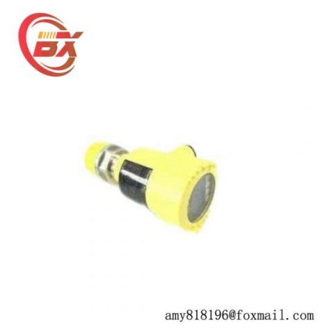 VEGQBAR 52 | BR52.XXGP1GHKMXX | Industrial Control Module