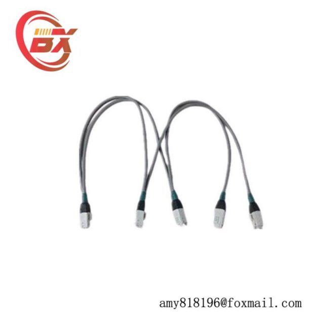 Honeywell 51202971-402 Multi-Function Input/Output Module